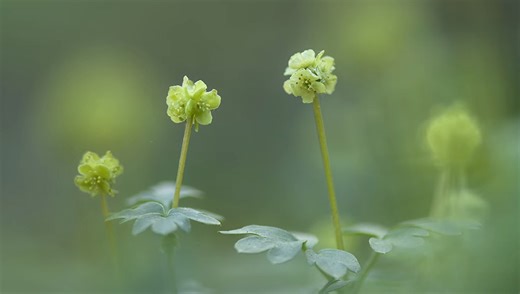 Mastering Unexpected Conditions in Nature Photography