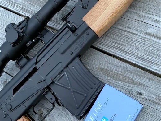 PSL 54 步枪，请品鉴！！！