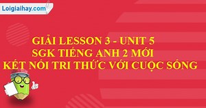 Giải Lesson 3 - Unit 5 SGK Tiếng Anh 2 mới Kết nối tri thức với cuộc sống