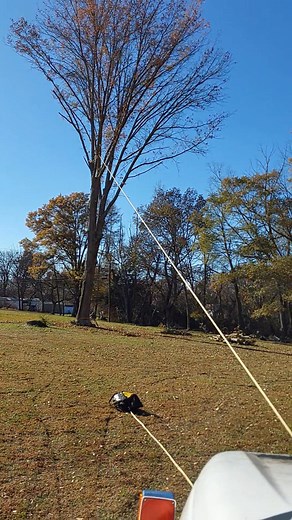 Took out a massive Oak today.They always get bigger when they hit the ground. #stihlchainsaw #treeremoval #arborist #bluecollar #fypageシ #hardworkpaysoff #tennesseeliving | Jon Curtis