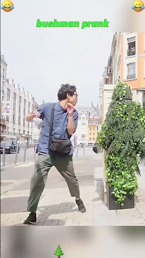 Funny tree pranks what are dose guys says