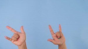 Download Female hand showing I Love You sign isolated on pastel blue background in studio. Pack of Gestures movements and body language. Love hand sign for free