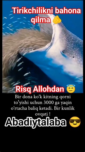 Risq Allohdan 😇 #abadiytalaba#shorts#viral#viralvideo#trending#motivation#youtubeshorts#trend#reels