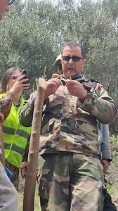 Démonstration sur site sur la période et la technique de greffage d'olivier @à la une https://youtu.be/2c4oachU9Rg?si=35mKItMqghYLLQuM | Agr Ecol