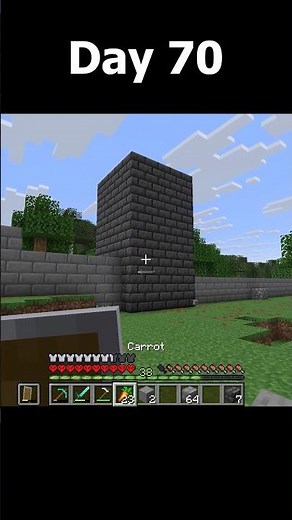 Day 70/1000 Minecraft Hardcore #minecraft #minecrafthardcore