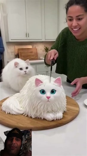 Pets vs Cake Prank!🐶😂You Won't Believe His Reaction!#Dogprank #funnydogs #cakeprank