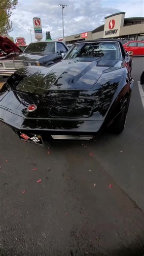 1974 Corvette Big Block 454 Performance Review