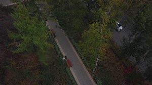 Bird's-eye view of the city. Clip. A large road with forks on which cars drive turning and stopping along the parks.