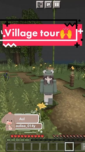 Explore Minecraft Village Life in this Virtual Tour