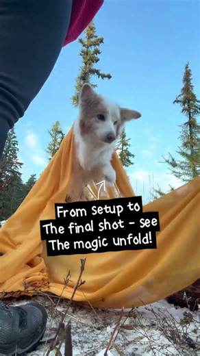 Behind the scenes of the Scarf Project