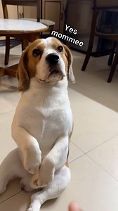 3.2M views · 34K reactions | Wait for it … Ps: this step never fails | Doodle | Facebook