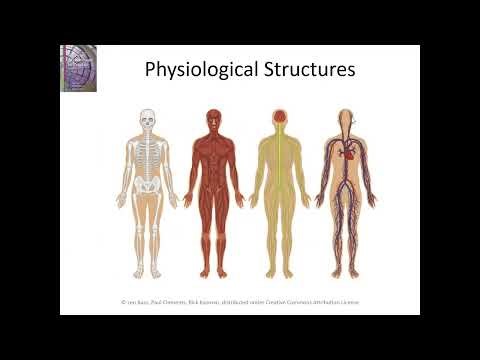 What Is Software Architecture