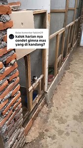 Menu pakan harian ternak cendet | Sisedewe Bf