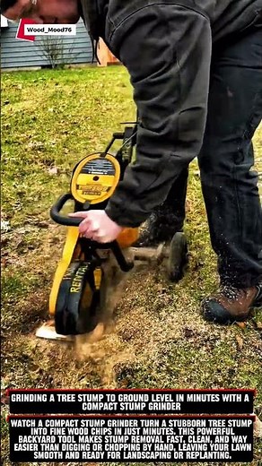 Grinding a Tree Stump to Ground Level in Minutes with a Compact Stump Grinder #woodworking #wood