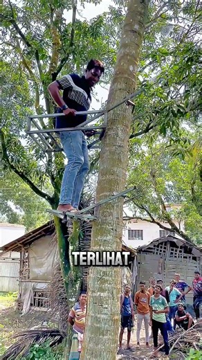 No Engine, No Gasoline! This Tool Makes Climbing Coconut Trees a Breeze
