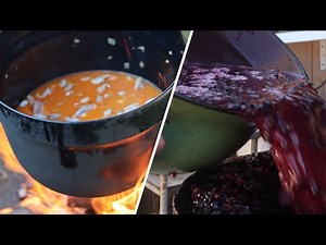 how to cook chicken gizzards stew