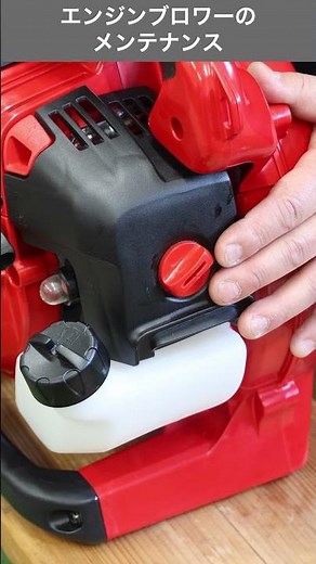 Engine Blower Maintenance #shorts #blower #maintenance