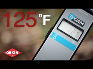Treat Your Bed Bug Problem with Orkin Heat - Orkin for Your Business