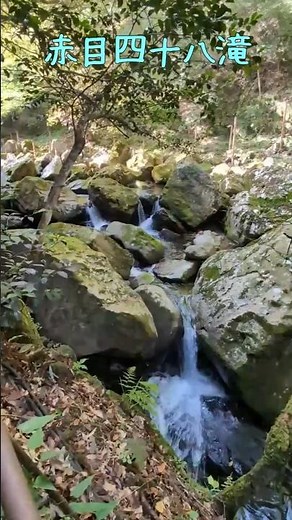 赤目四十八滝 #絶景 #滝 #ハイキング