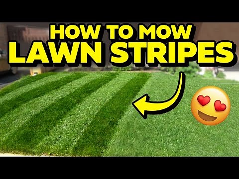 2024 BEST LAWN STRIPES Tutorial