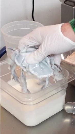 How to cook a Soft Shell Crab #thefoodboat #charleston #softshellcrab