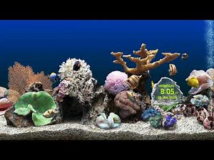 Screensaver Video Marine aquarium screensaver and Windows XP Plus screensavers