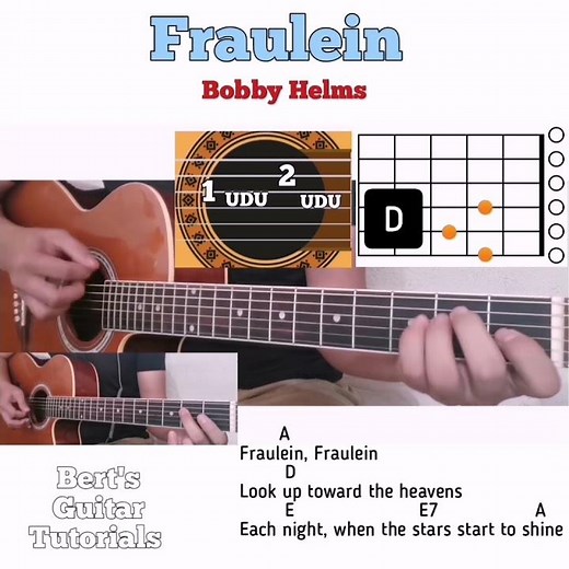 fraulein #guitartutorial #bertsguitartutorials