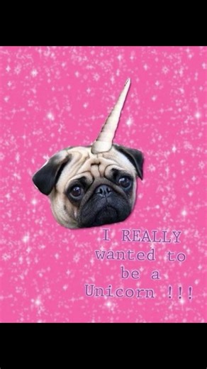 Cult of the Lamb: Fighting Hektek Strategy Guide