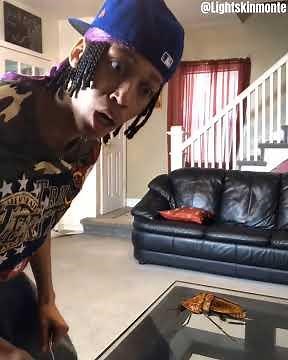 Oh Shit A Cockroach Meme @lightskinmonte #memes #funny