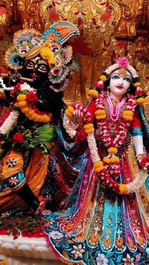 ❣️✨ राधे राधे ✨❣️#radheshyam #radharani #radha #krishna #madhav #radhika #nandan #shyam #shorts