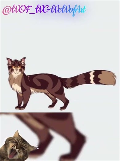 { #brambleclaw } ~ { #bramblestar } - Story of a warrior : #warriorcats #plsgoviral #mygoalis200subs