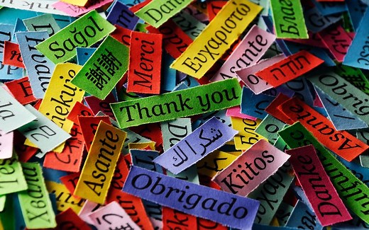 人类语言是如何产生的 (How language began)