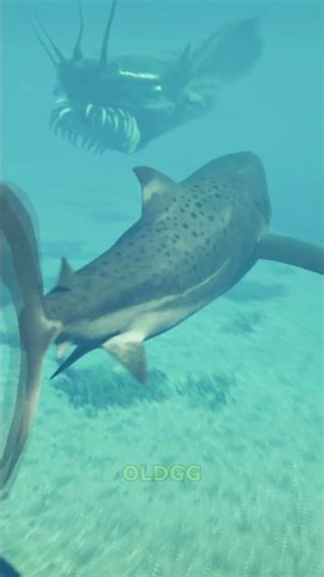 El Gran Maja (ColossaHydrus) VS Megalodon