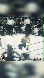 11K views · 187 reactions | On Boxing Day 1908, at Rushcutters Bay in...