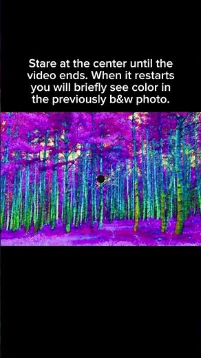 Don’t Blink 👀 | The Illusion That Makes You See Colors That Aren’t There