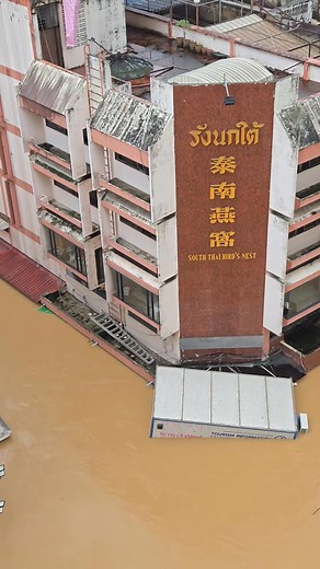 25号12pm | Lam Yar Yee