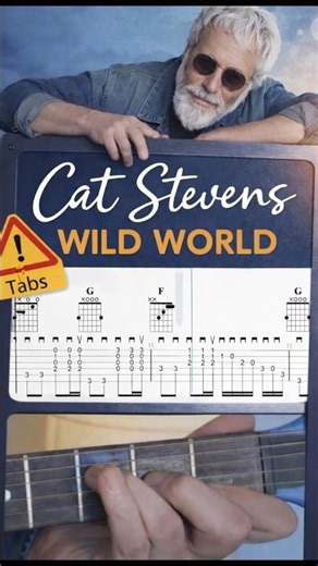 Wild World - Cat Stevens | #tabs