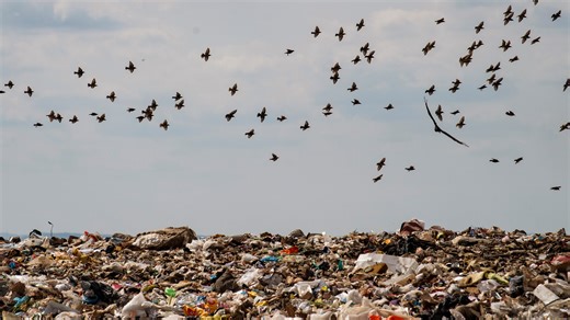 Nashville's trash pickup schedule changes in 2026. What to know