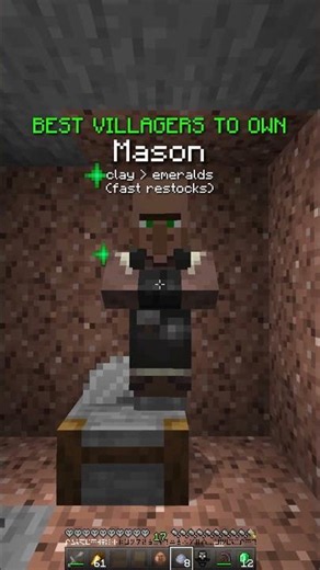 The BEST Villagers To Own! 👀 #minecraft #best #tricks #tips #helpful #gaming #shorts