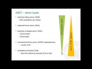 Hematopoietic Stem Cell Transplantation