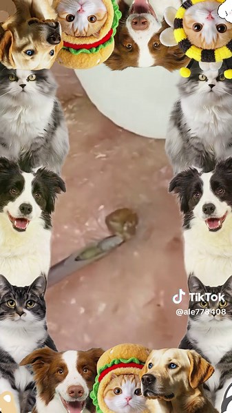 My god!!!😱💕#pimple #cyst #blackhead #USblackhead #cystpopping #fyp