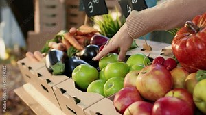 Female farmer arranging fruits and veggies on farmers market counter, preparing to sell natural bio products. Woman small business owner selling homegrown organic produce. Close up.
