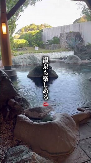 伊豆にあるリゾートホテル🌊🌴下田の白浜海岸目の前にある 「ホテル伊豆急」