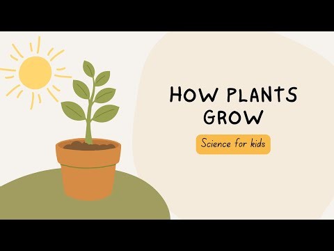 Plants for Kids 🌱 | Learn How Plants Grow | Fun Science for Children