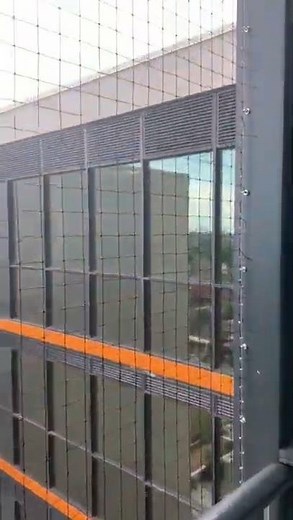 Pigeon & Bird Netting Installation services | Get Rid of Pigeons from the balcony