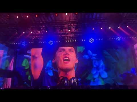 Avicii Forever Tomorrowland 2025 tribute