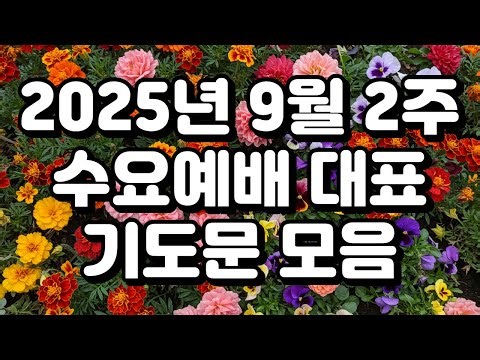 2025년 2주 수요예배 대표기도뭉 모음주일예배 대표기도문,기도문 모음,기도문 예문