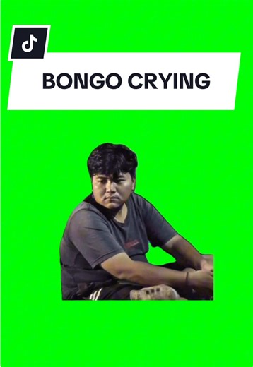 BONGO CRYING #meme #greenscreen #fyp #trend #viral