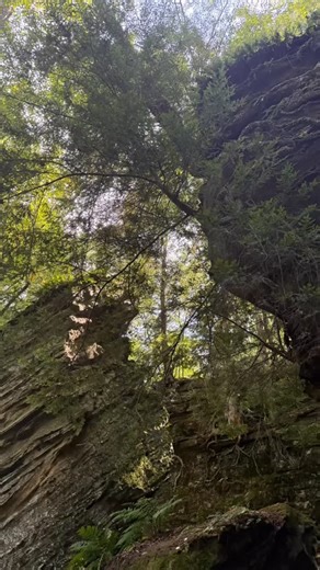 🍂 The season is just beginning to shift here at Panama Rocks—hints of yellow and orange are peeking through, though the lush green of summer still surrounds the forest. Over the next month, we’ll watch the woods slowly transform into fall. It’s looking like a beautiful weekend to hike! 🌞 We still have a few primitive tent sites open if you’d like to get outside and enjoy the fresh air before the colder weather sets in. MEMBERSHIPS EXTENDED THROUGH 2026! If you purchase a season pass—either onl