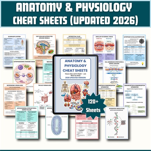 Anatomy & Physiology Cheat Sheet | 2026 Anatomy and Physiology Study Guide | Nursing School Notes | Anatomy Revision | Instant Download PDF - Etsy